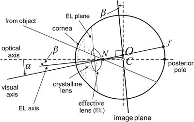 A Geometric Theory Integrating Human Binocular Vision With Eye Movement